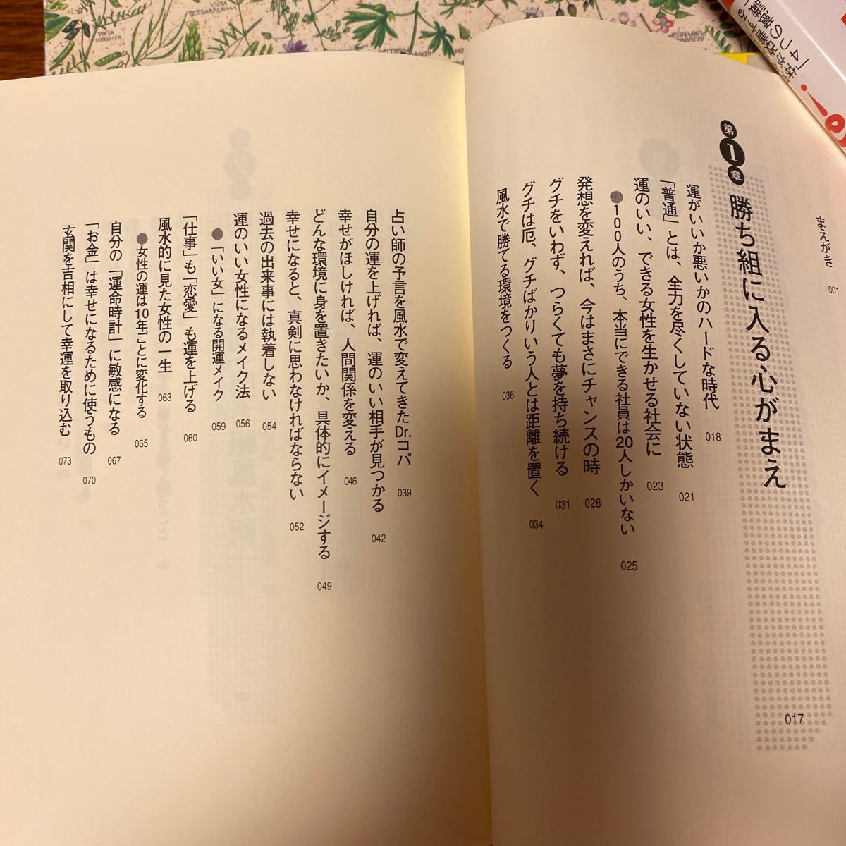 Paypayフリマ dr コパの勝ち組に入る風水術 小林祥晃 Paypayフリマ dr コパの勝ち組に入る風水術 小林祥晃