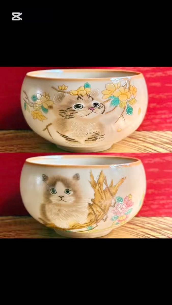 子猫 湯呑み 2種セット キジトラ マンチカン メインクーン 作家 食器 カップ 陶器 和食器 猫柄 夫婦湯呑み茶碗 二客 2個