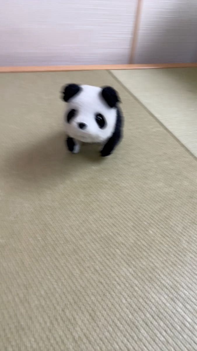 赤ちゃんパンダ 動くぬいぐるみ イワヤ