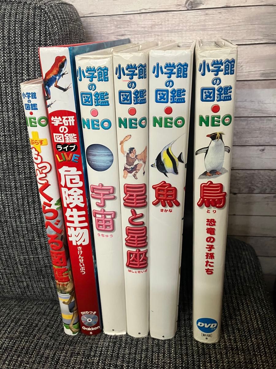 小学館の図鑑NEO 6冊 小学館NEO図鑑6冊セット|Yahoo!フリマ(旧PayPayフリマ)