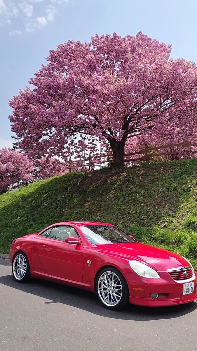 レスサスSC430 ソアラ ルーフリモコン 全車適合 超簡単接続
