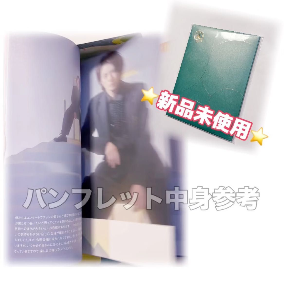 ★新品未使用King & PrinceキンプリMr.パンフレットランドNumber_i 平野紫耀永瀬廉高橋海人岸優太神宮寺勇太