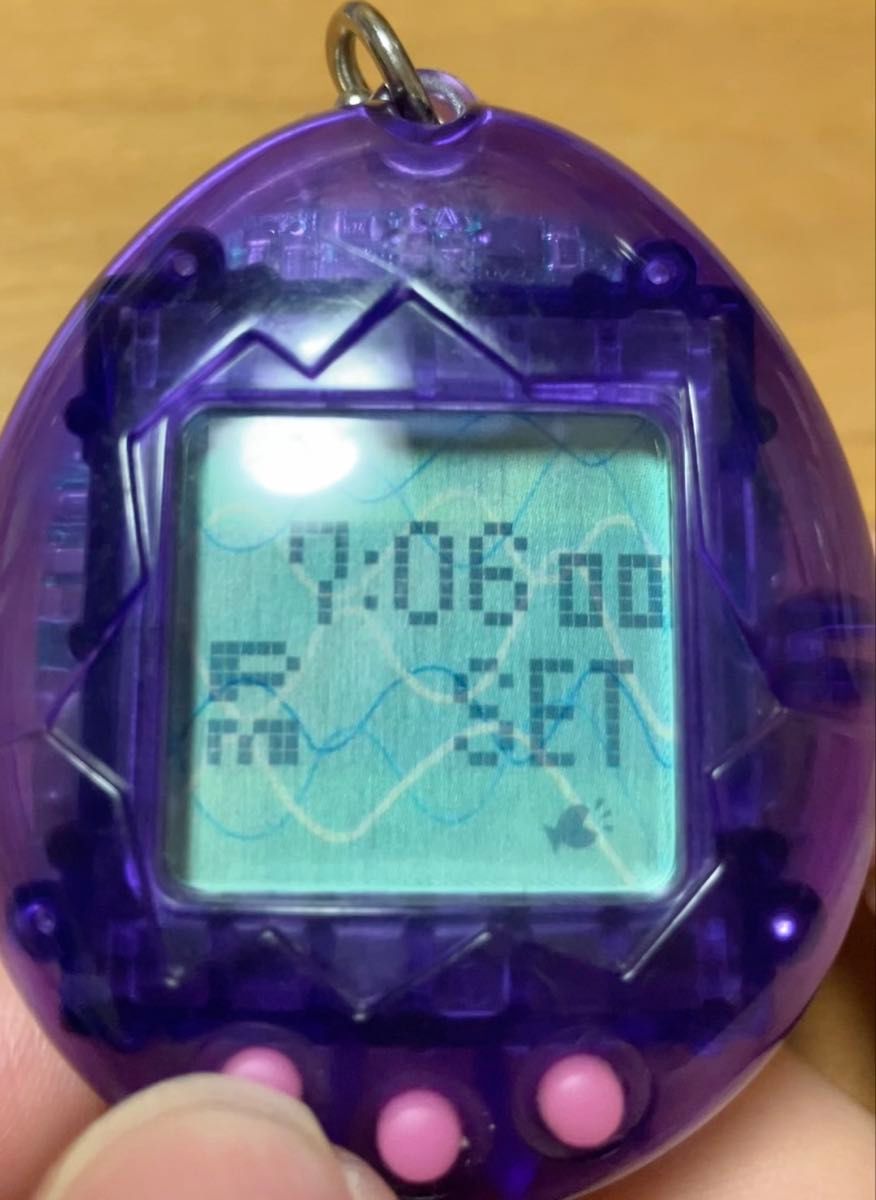 たまごっち 海で発見 BANDAI バンダイ パープル