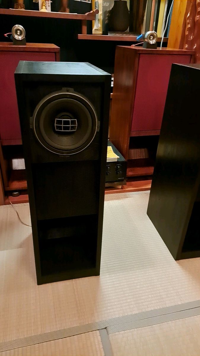 PIONEER PAX-A20 バックロードホーン