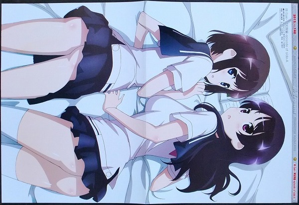 ヤフオク 咲saki 阿知賀編 ピンナップポスター 千里山女子 ヤフオク 咲saki 阿知賀編 ピンナップポスター 千里山女子