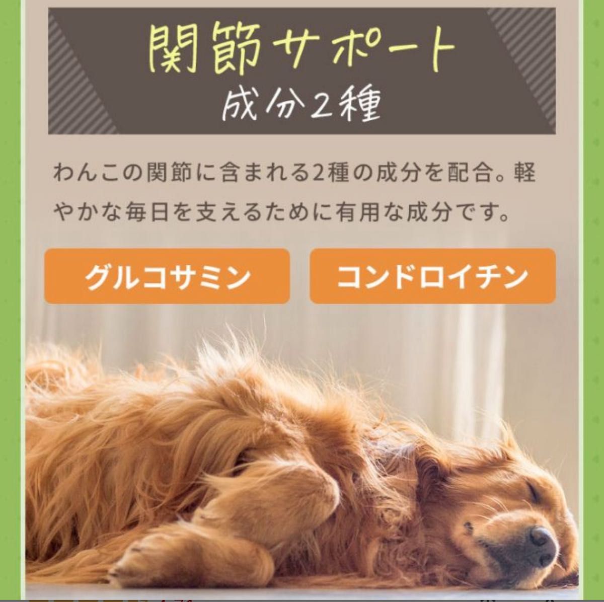 わんこのヘルシー食卓 さかな味 1kg | わんちゃんライフ