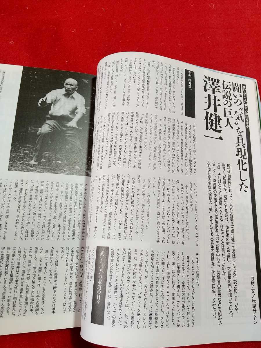 【月刊】フルコンタクトKARATE 1995年9月号 ～神秘のタブーに迫るシリーズ第2弾！ 気を解明する！～ 盧山初雄・澤井健一・八巻建志・etc._画像6