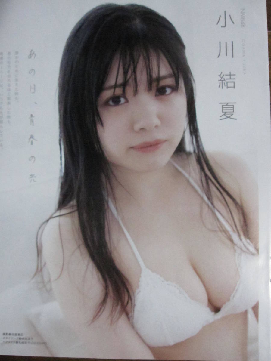 公式ショップ】 欅のキセキ 潮紗理菜 直筆サイン クリアファイル
