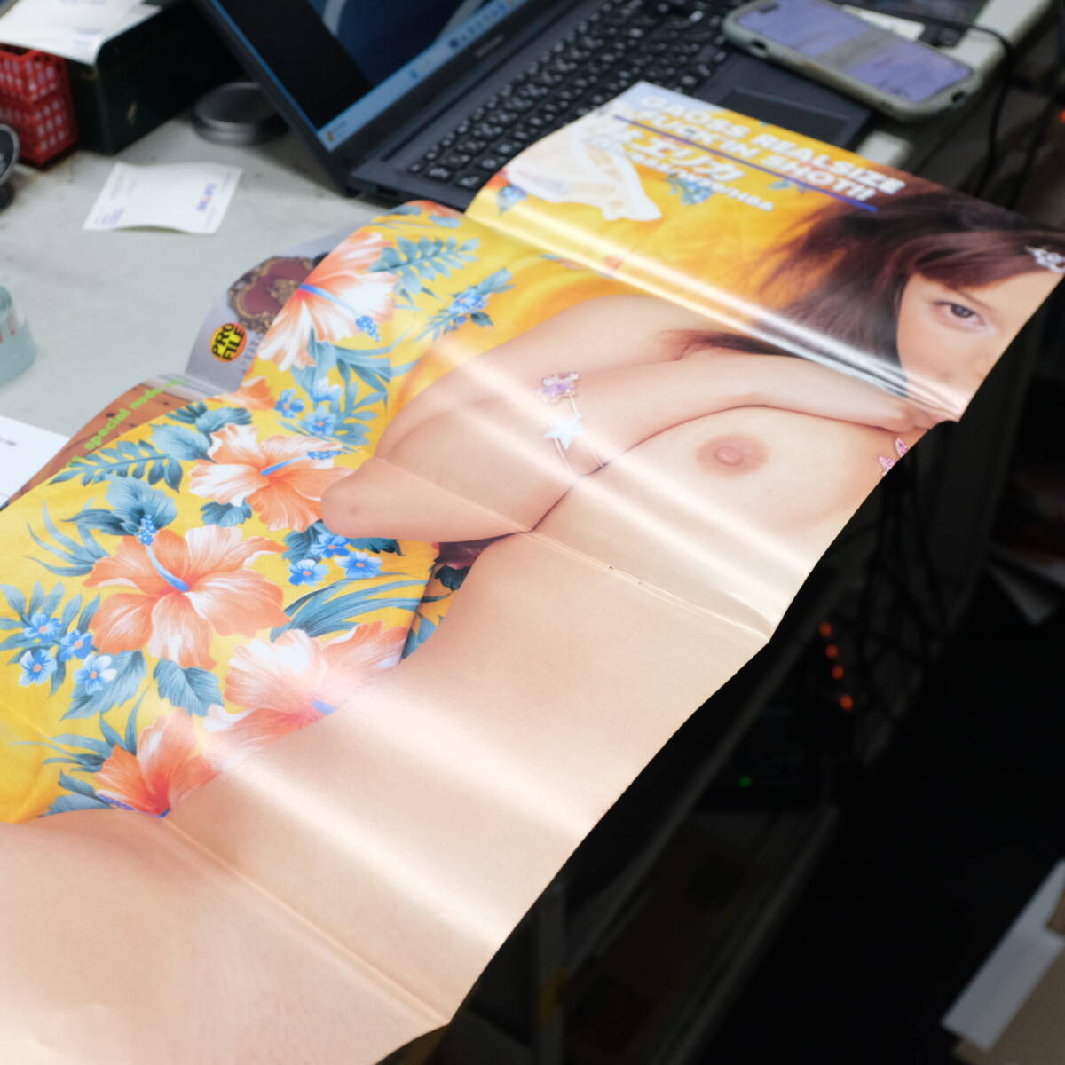 ギャオス　VOL.2　2001年５月號　苺みるく　林エリカ　等身大ポスター付き
