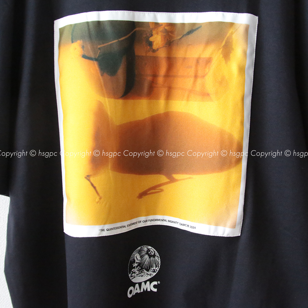 OAMC STILLER シルクパッチ Tシャツ カットソー オーバーサイズ 定価5.2万】新品 OAMC STILLER シルクパッチ オーバーサイズ T