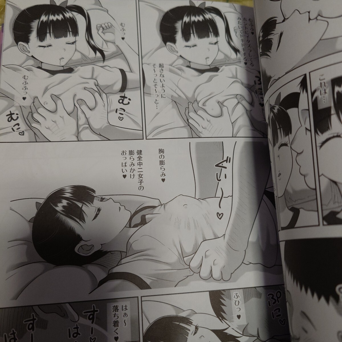 眠っている間に、おっぱいを弄られたりチ〇ポを入れられちゃうブルマの女の子　デリバリーな少女の絵本　成年向け同人志　キャンセル分