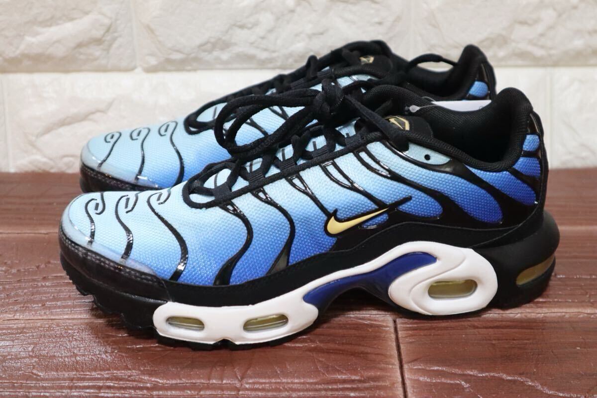  новый товар обычная цена 17930 иен 24.NIKE Nike air max плюс GS AIRMAX PLUS GS Sky голубой 