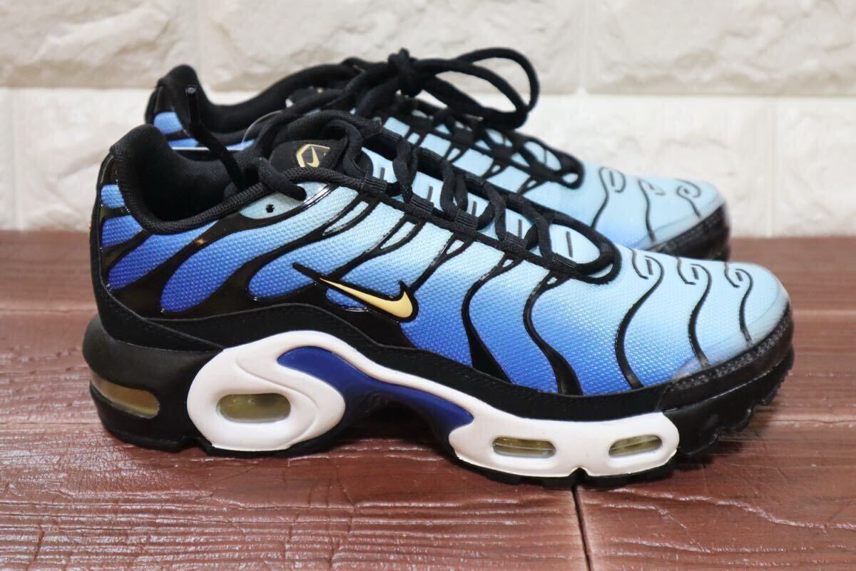  новый товар обычная цена 17930 иен 24.NIKE Nike air max плюс GS AIRMAX PLUS GS Sky голубой 