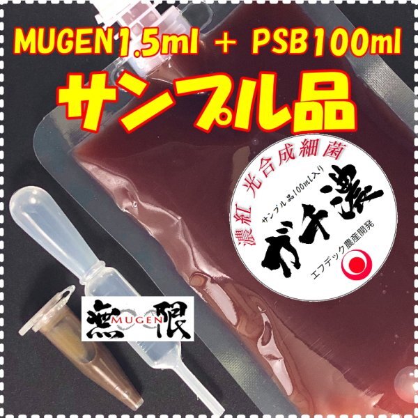 數(shù)量限定！サンプルゲット！500mlに増やせるPSBとエサのセット！おいおい安すぎやしませんちょっと…濃縮光合成細(xì)菌の培養(yǎng)餌料、培基