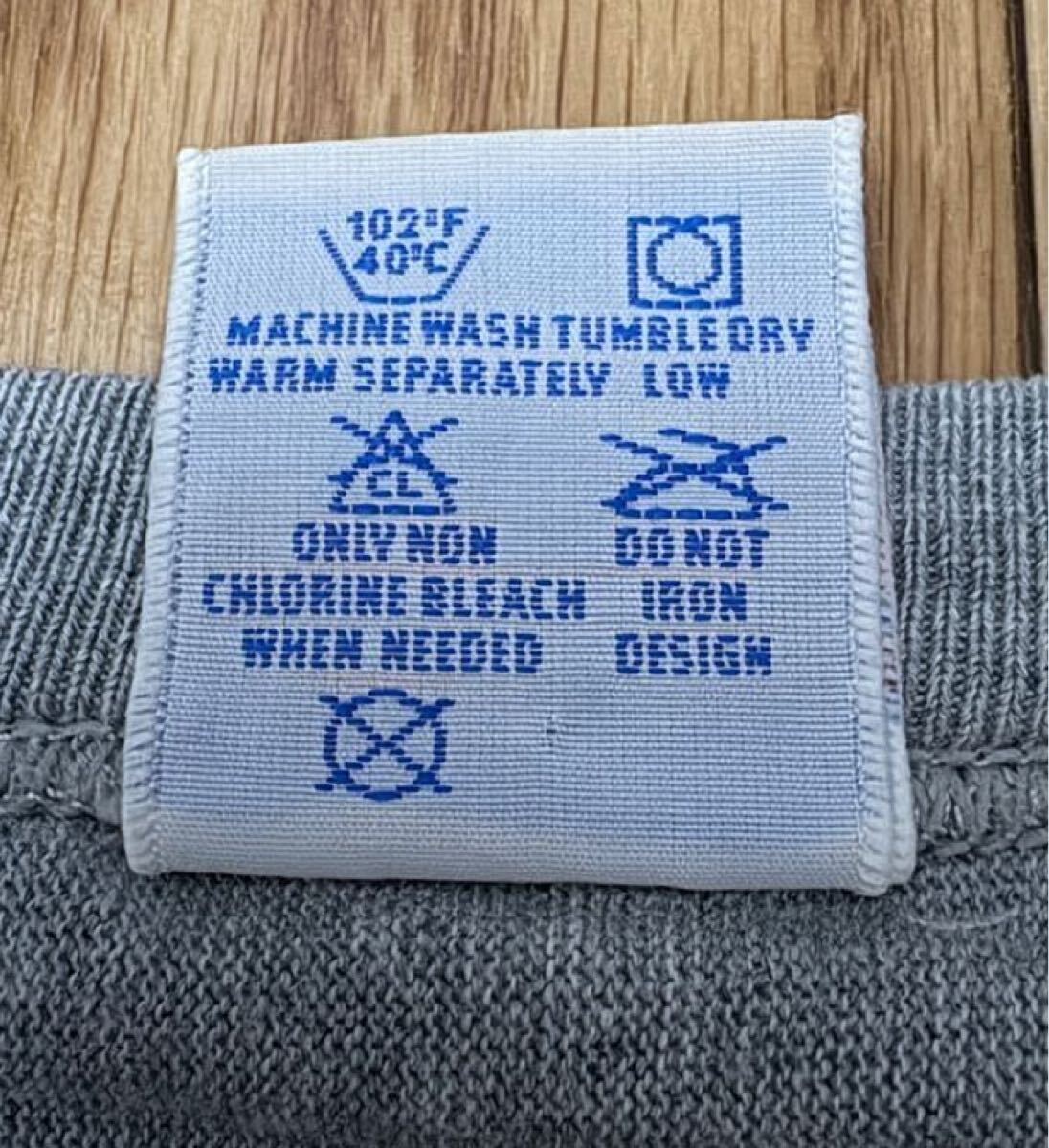 【00s?レア】Stussy x Champion Reverse Weave S/S Tee ステューシー リバースウィーブ 半袖 スウェット Tシャツ 20周年 M グレー