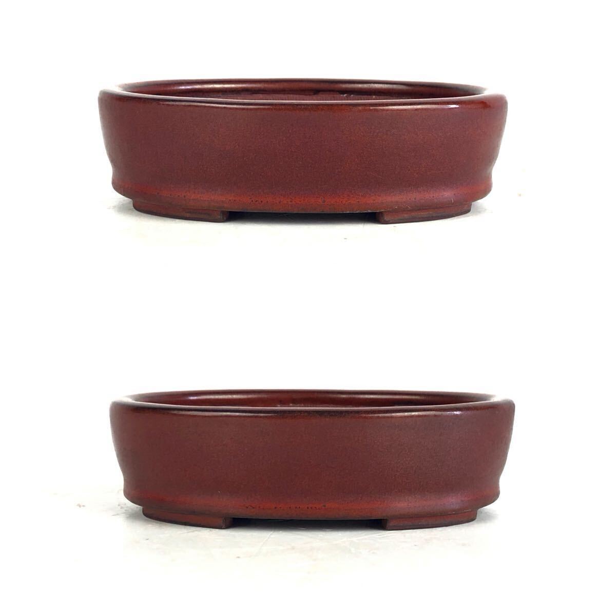 日本美術(shù) 平安香山 作 朱泥 辰砂 楕円鉢 在銘 紅釉 植木 盆栽鉢 盆器 花器 古玩 時(shí)代品 【14b012334 0】