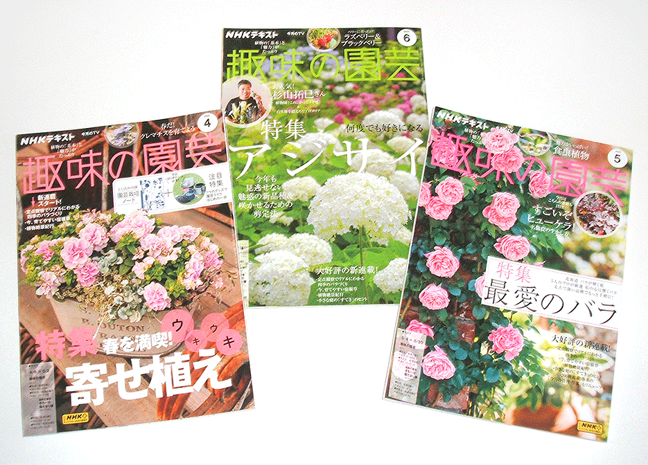 未使用品★趣味の園蕓★2025年4月號～6月號の3冊セット★春を満喫！寄せ植え★最愛のバラ★アジサイ★送料430円～