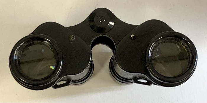 LICHTER リヒター 雙眼鏡 6×30 No 5067 ケース付き アンティーク レトロ