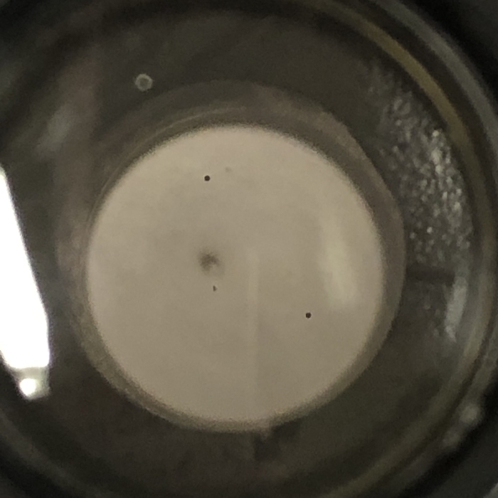 LICHTER リヒター 雙眼鏡 6×30 No 5067 ケース付き アンティーク レトロ