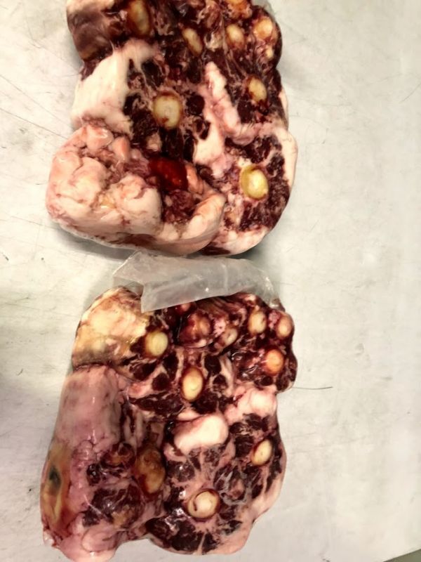 【希少！國産牛テール】真空パック?冷凍（1kg～1.5kg