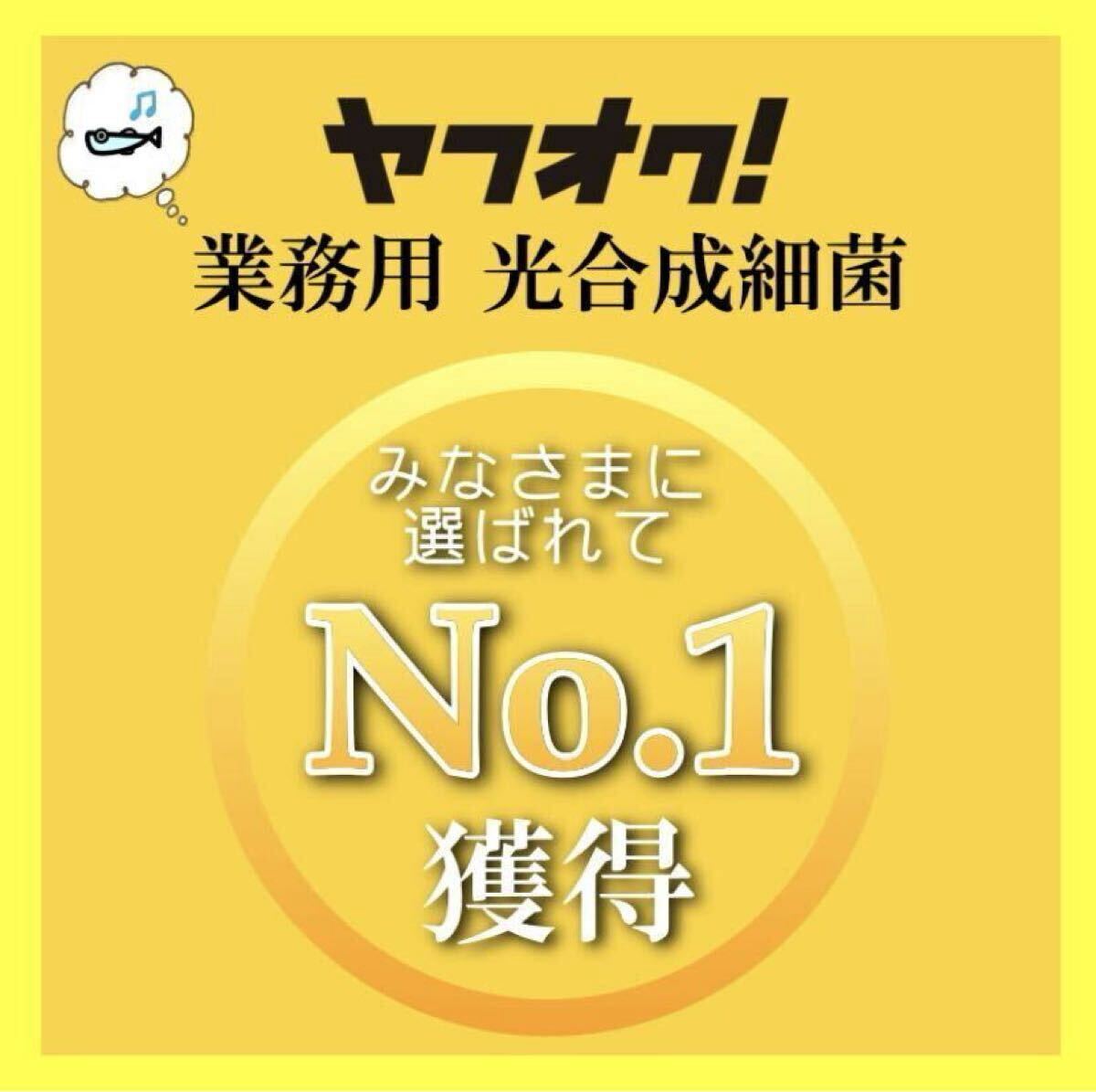 ガチ濃い→培養(yǎng)酵母10錠付！PSB(光合成細(xì)菌) 500ml入り