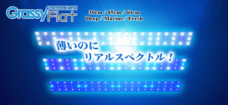 ボルクスジャパン グラッシーフラット600ディープ☆送料無料☆新品未使用☆海水魚 サンゴ☆ブルー系 LEDライト27w☆60センチ水槽用☆
