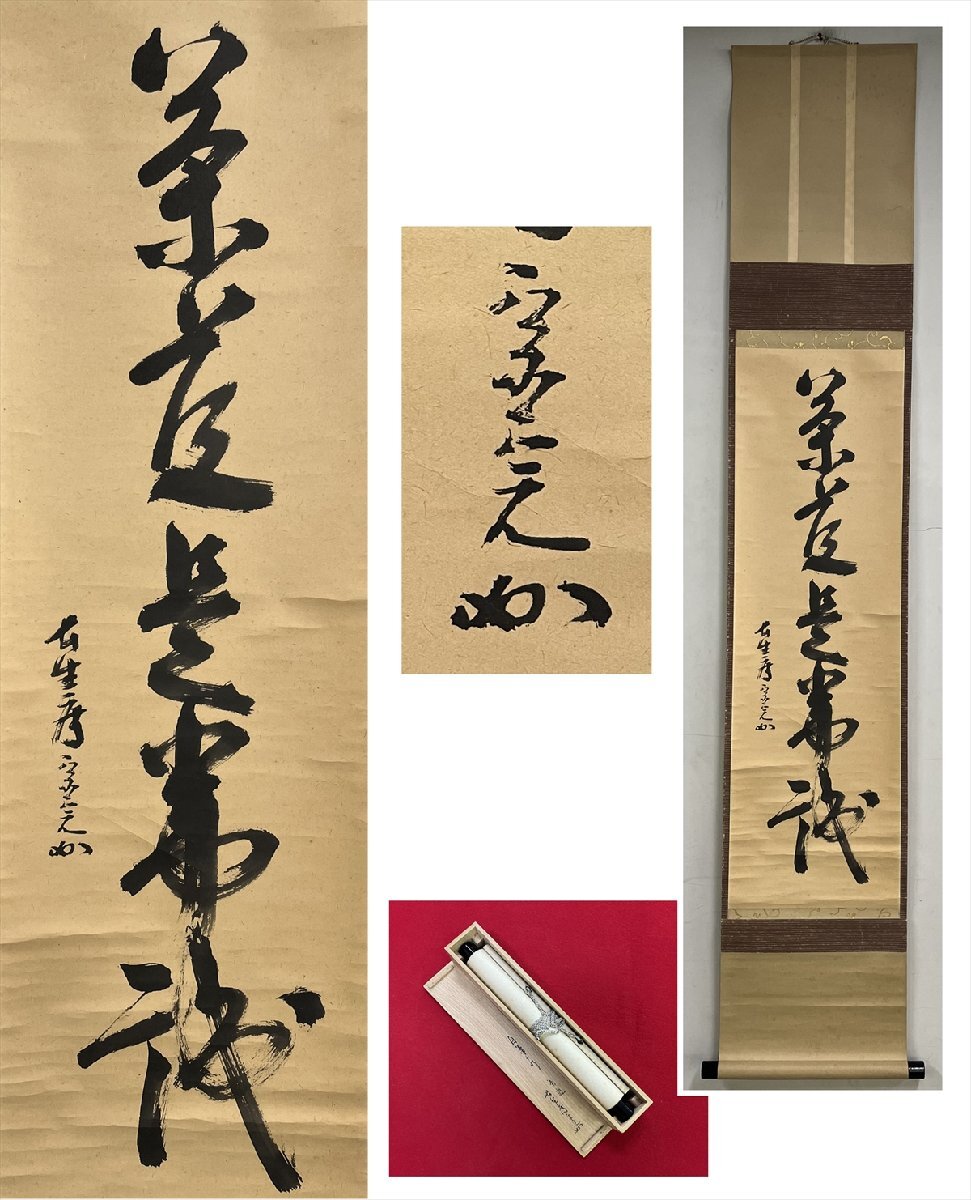 掛け軸 掛軸 茶掛　堀内宗完　堀内家十二世 兼中斎　表千家　肉筆 箱付 掛軸 茶掛 表千家 堀内宗完 兼中意宗匠筆春入千林處々