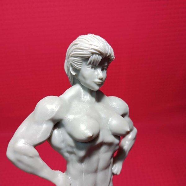 No9 オリジナル品 創(chuàng)作品 フィギュア 女性 マッチョ ボディビル カスタム ガレージキッド 2
