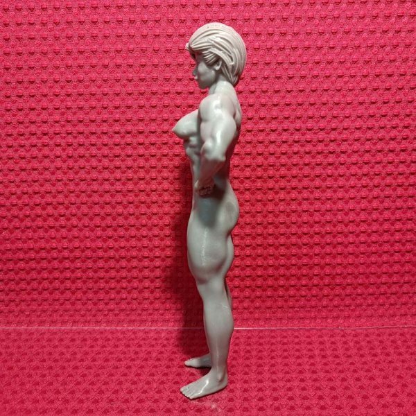 No9 オリジナル品 創(chuàng)作品 フィギュア 女性 マッチョ ボディビル カスタム ガレージキッド 2