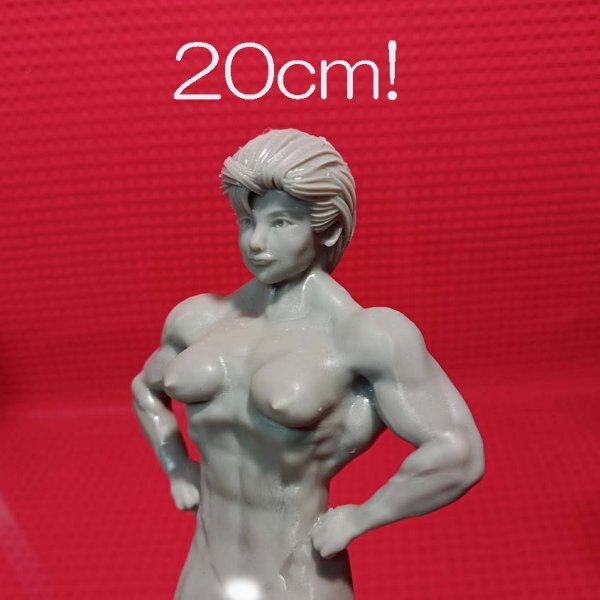 No9 オリジナル品 創(chuàng)作品 フィギュア 女性 マッチョ ボディビル カスタム ガレージキッド 2