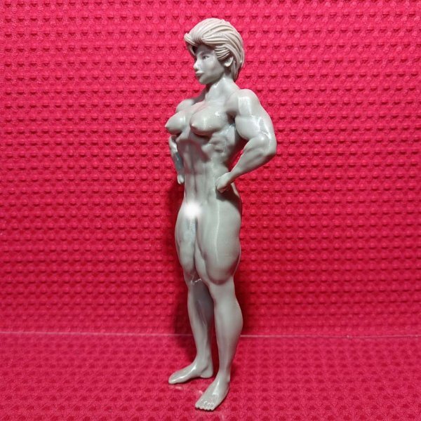 No9 オリジナル品 創(chuàng)作品 フィギュア 女性 マッチョ ボディビル カスタム ガレージキッド 2