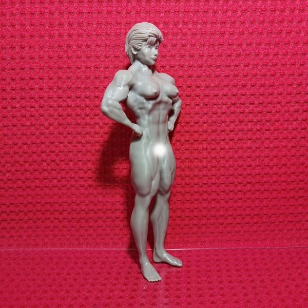 No9 オリジナル品 創(chuàng)作品 フィギュア 女性 マッチョ ボディビル カスタム ガレージキッド 2