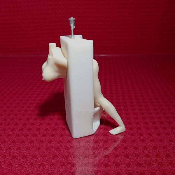 No37　完全オリジナル品　ボディのみ　1/12スケール　Figma　フィグマ　改造　挿替　差替　肉便器　肉便　トイレ　便所　2