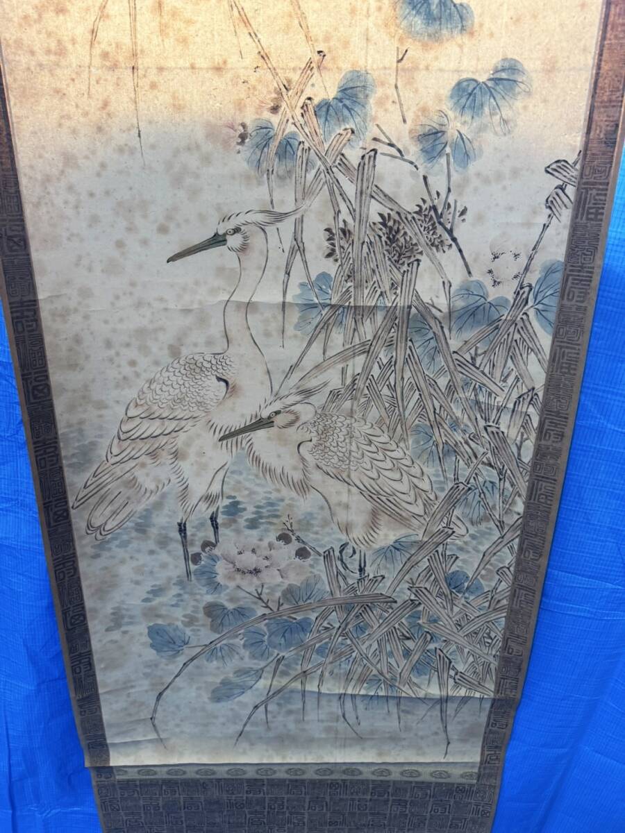 掛軸 【模写】 高森 砕巌 不老長春 花鳥図 掛け軸
