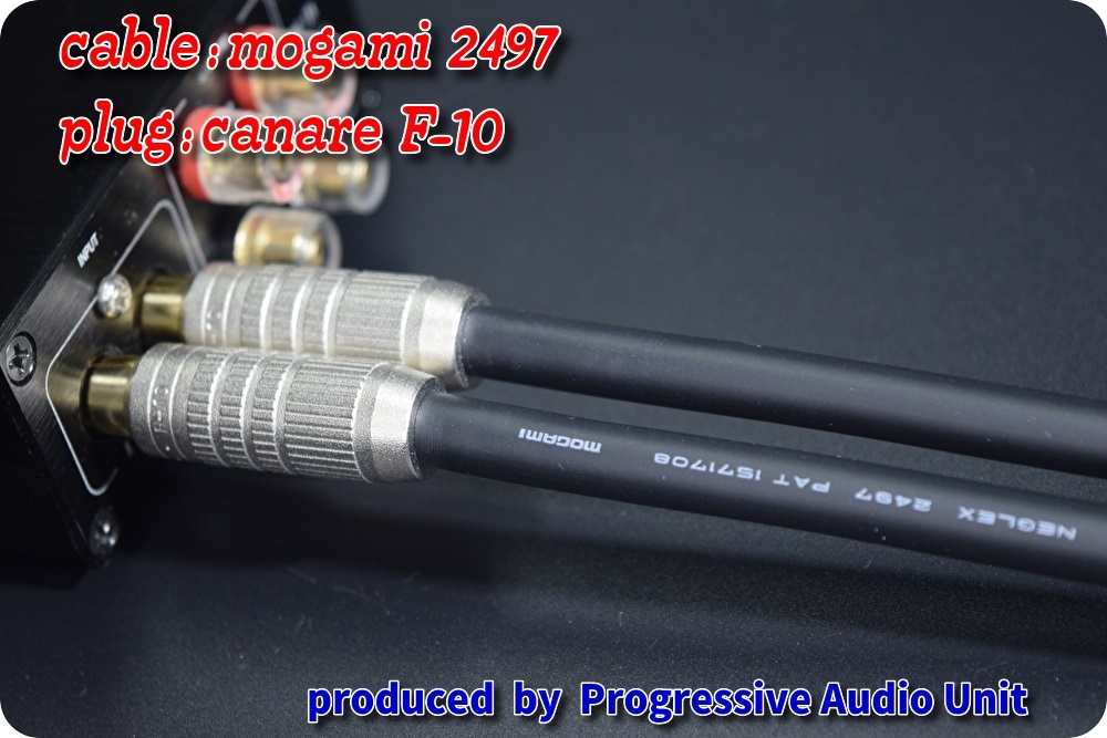 ■■ mogami 2497＋RCA Gp_plug（CF10）/0.45m×2本