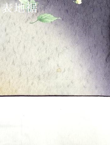 平和屋著物▼色留訪問著　刺繍　葡萄蔦の葉文　リス　暈し染め　やまと誂制　正絹　逸品　DAAT2020yyy