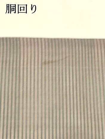 平和屋著物＊夏物　九寸名古屋帯　唐織　舞葉文　金纟　正絹　逸品　DAAT7214cm
