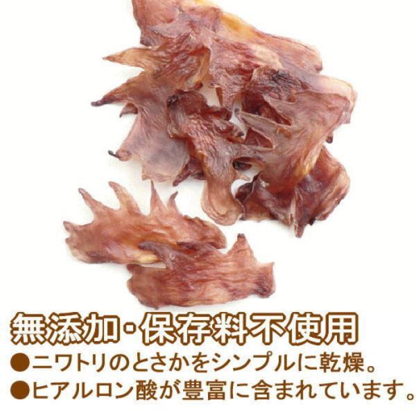 お徳用鶏とさか100g　國産　無添加　無著色！
