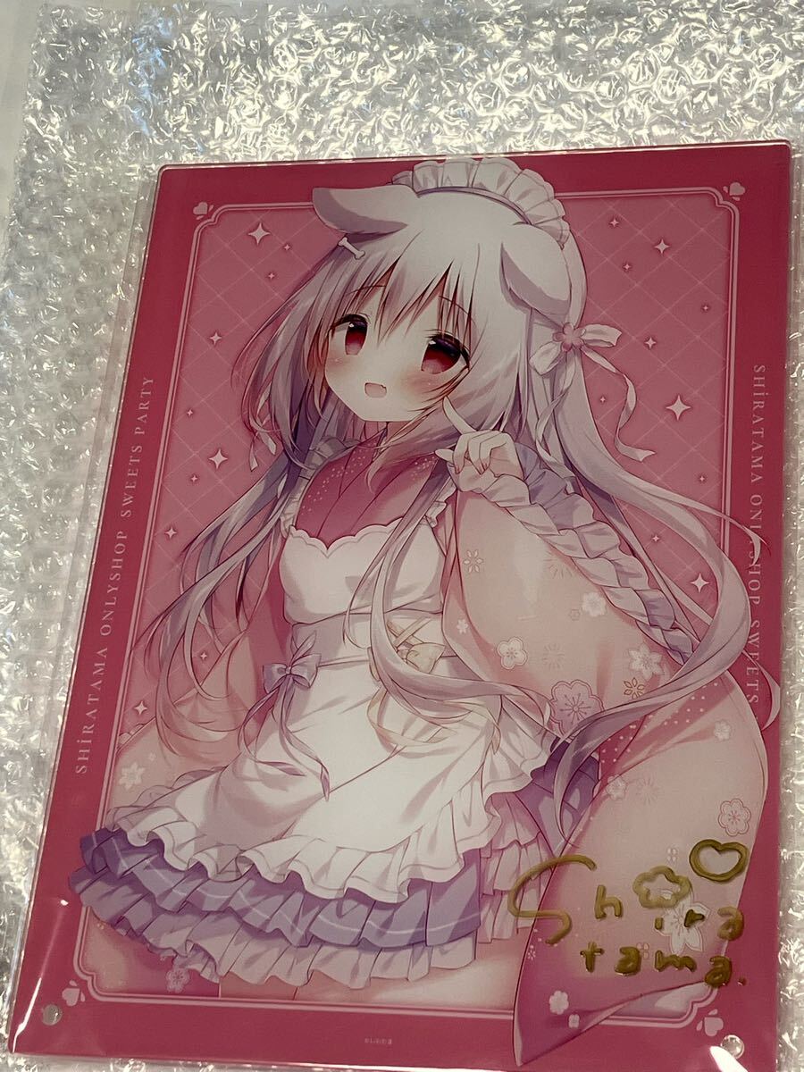 しらたま アクリルパネル 直筆サイン入り しろいいぬ 当選書付) しらたま しらたまこ しらたまオンリーショップ 当選