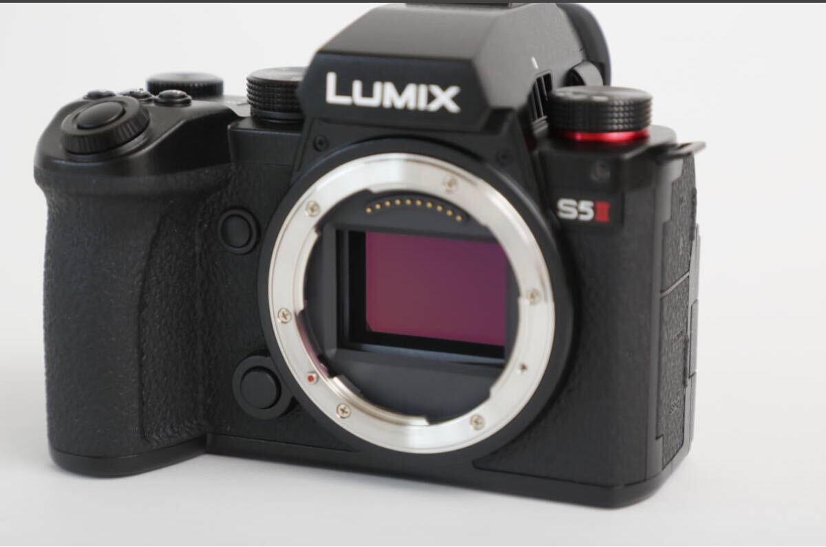 ミカサ ●美品●LUMIX GH5S (シャッター数395)本体 ミカサ ○美品○LUMIX GH5S (シャッター数395)本体 LUMIX DC-GH6
