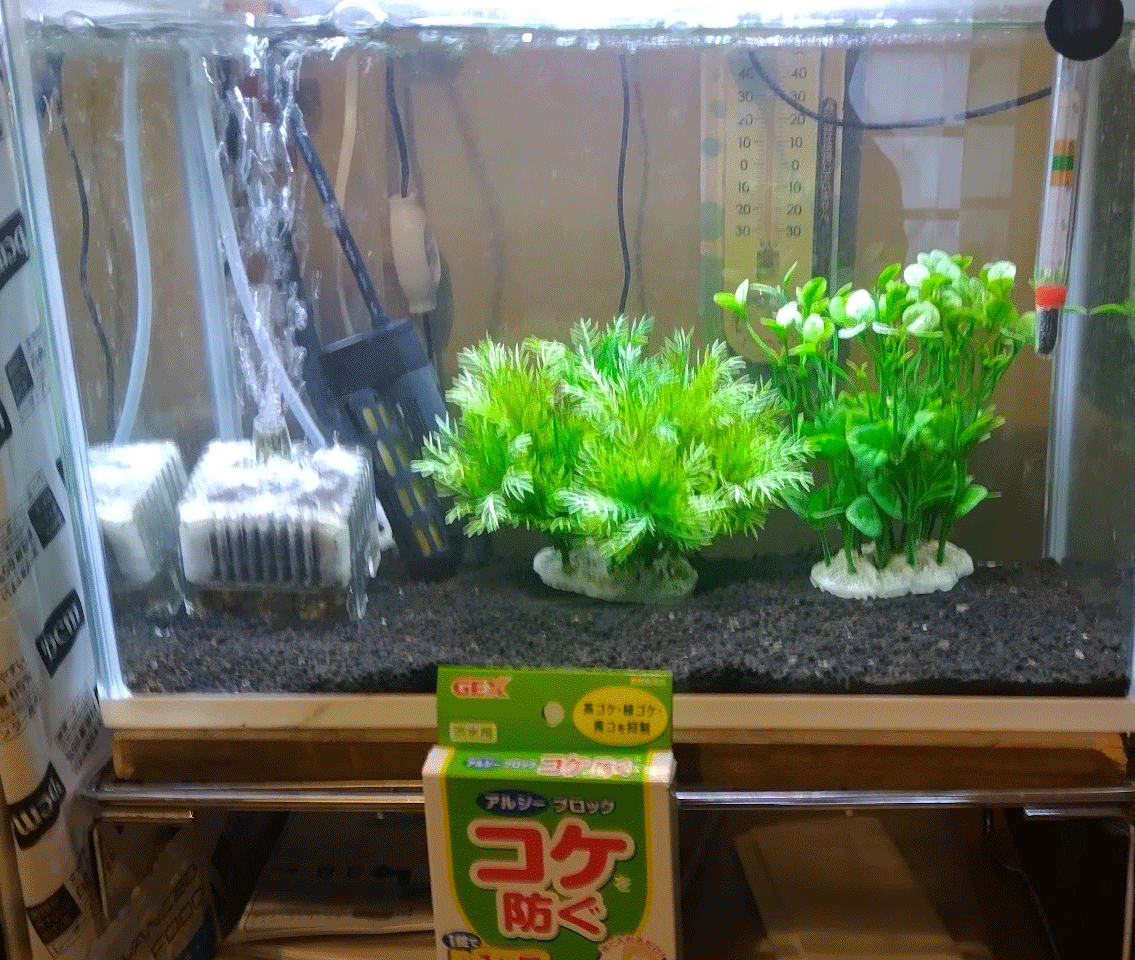 GEXぶくぶく水キレイセットL+ヒーター+水替掃除用ホース+水槽ライト+カルキ抜き+水溫計+テトラ専用餌＋コケ塞ぎ
