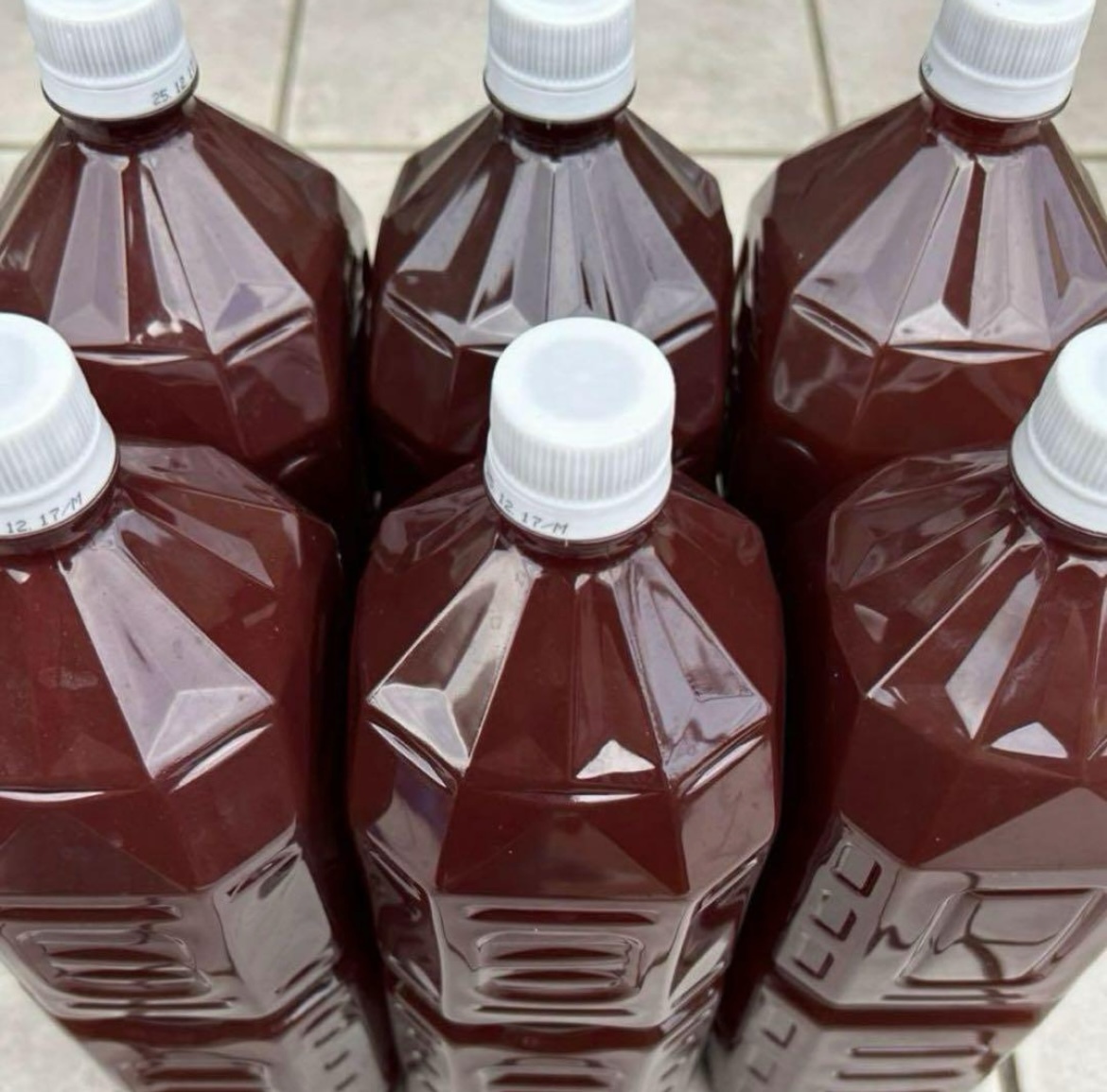 光合成細(xì)菌 12L 培養(yǎng)酵母100錠
