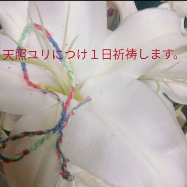 улучшение большой фирма фирма dono mi солнечный ga большой дракон бог озеро .. Kiyoshi .mi солнечный ga редкостный . товар доставка улучшение большой фирма фирма dono mi солнечный ga большой дракон бог озеро .. Kiyoshi .mi солнечный ga редкостный . товар доставка