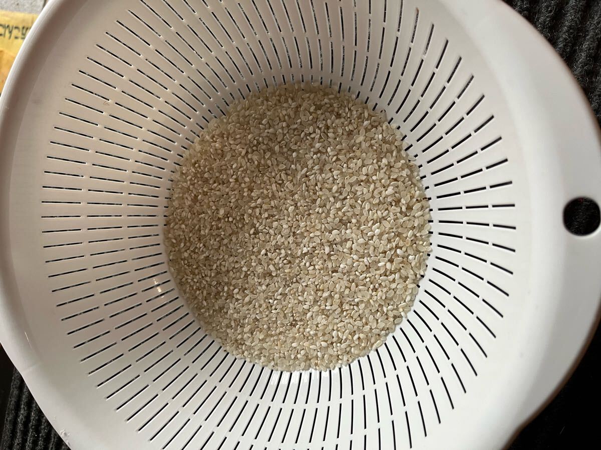 最新作の ① 令和5年度栽培のくず米 精米 飼料用 約25キロ 米