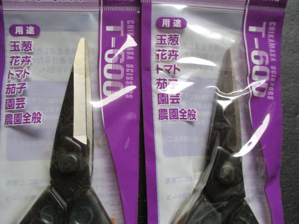 未使用　2丁　近正　菜園鋏　T-600　全長　195㎜　刃長　14㎜　用途　玉蔥　花弁　トマト　茄子　園蕓　農(nóng)園　全般　