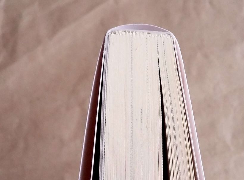 [ быстрое решение ]. делать обеденный стол .. прекрасный .. конец широкий вставка специальный маленький брошюра аниме ito привилегия BL повесть BL * прекрасный товар б/у книга@LVDBL