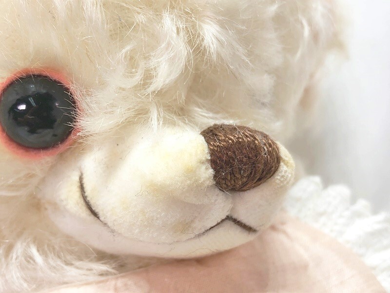 メリーソート ANCESTOR OF CHEEKY BABY GIRL for AONEKO　アンセスター オブ チーキー 100體限定　補足參照　テディベア　1円スタート★S