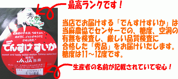 でんすけすいか6Lサイズ以上(ランク秀品、11kg以上)日本農(nóng)業(yè)賞大賞受賞 北海道産スイカ 當(dāng)麻町名産西瓜 送料無料