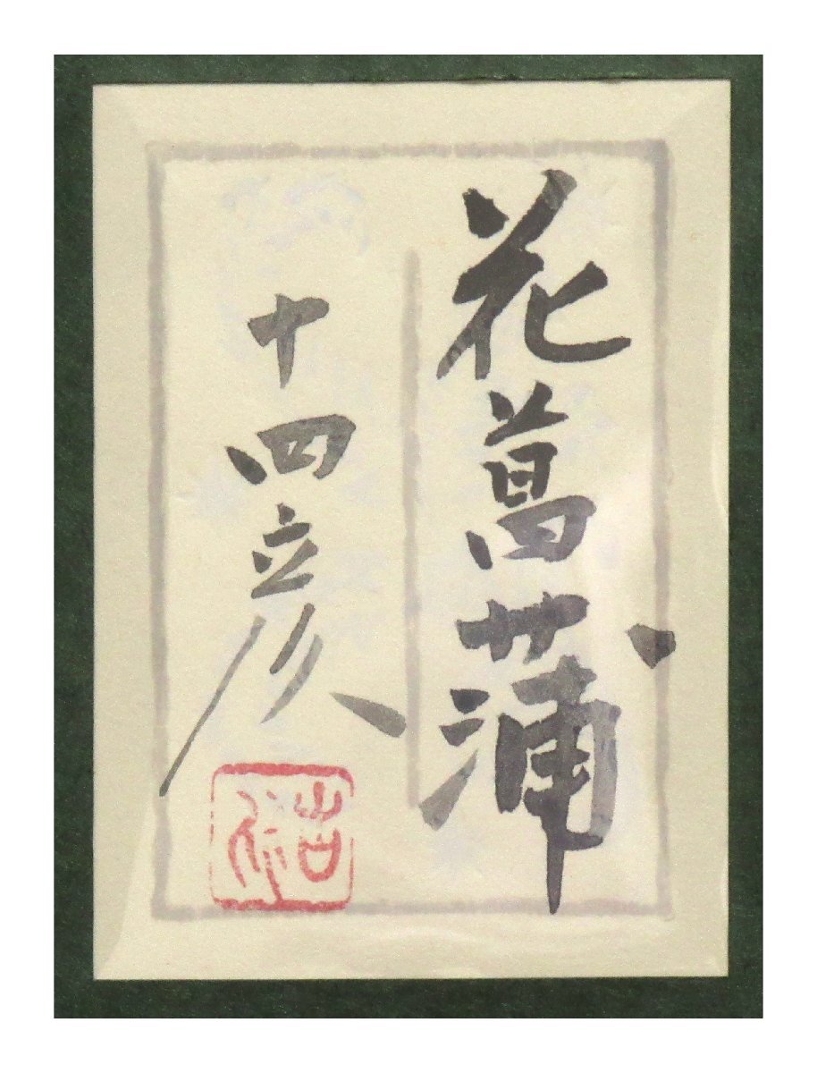 祥感謝SALE【真作】大矢十四彦「花菖蒲」日本画10号 サイン有 共
