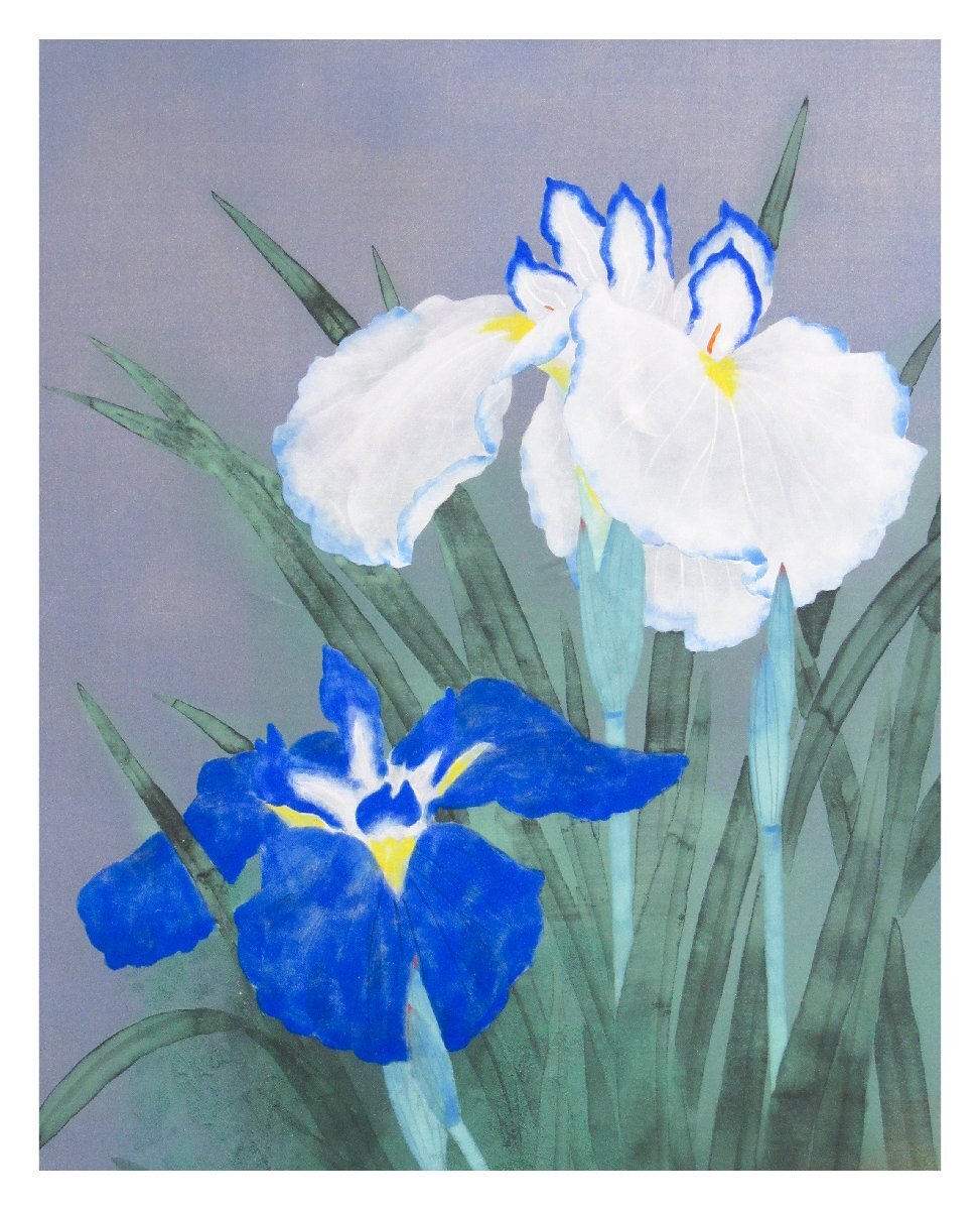 2025新入荷 祥感謝SALE【真作】大矢十四彦「花菖蒲」日本画10号 サイン有 共 絵画